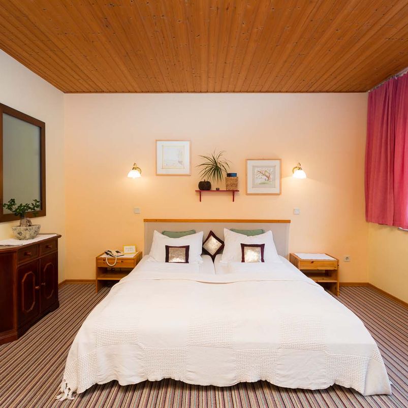 Zimmer 1 Appartementhaus Witzmann