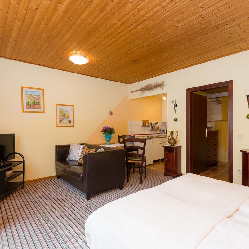 Zimmer 1 Appartementhaus Witzmann